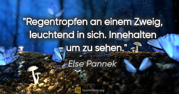 Else Pannek Zitat: "Regentropfen an einem Zweig, leuchtend in sich.
Innehalten -..."