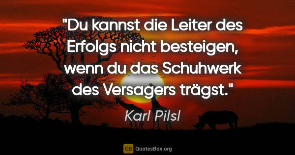 Karl Pilsl Zitat: "Du kannst die Leiter des Erfolgs nicht besteigen, wenn du das..."