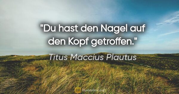 Titus Maccius Plautus Zitat: "Du hast den Nagel auf den Kopf getroffen."