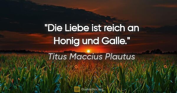 Titus Maccius Plautus Zitat: "Die Liebe ist reich an Honig und Galle."