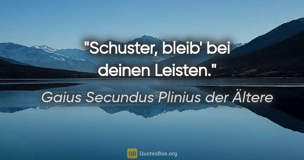 Gaius Secundus Plinius der Ältere Zitat: "Schuster, bleib' bei deinen Leisten."