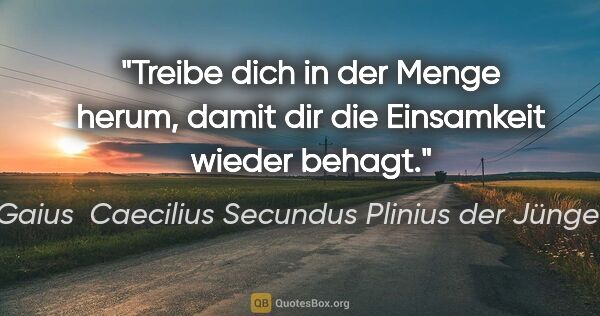 Gaius  Caecilius Secundus Plinius der Jüngere Zitat: "Treibe dich in der Menge herum, damit dir die Einsamkeit..."