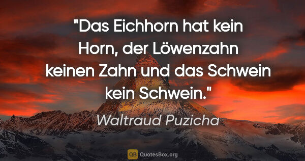 Waltraud Puzicha Zitat: "Das Eichhorn hat kein Horn,
der Löwenzahn keinen Zahn
und das..."