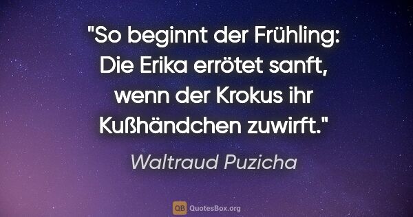 Waltraud Puzicha Zitat: "So beginnt der Frühling: Die Erika errötet sanft, wenn der..."