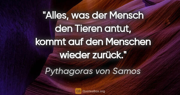 Pythagoras von Samos Zitat: "Alles, was der Mensch den Tieren antut, kommt auf den Menschen..."
