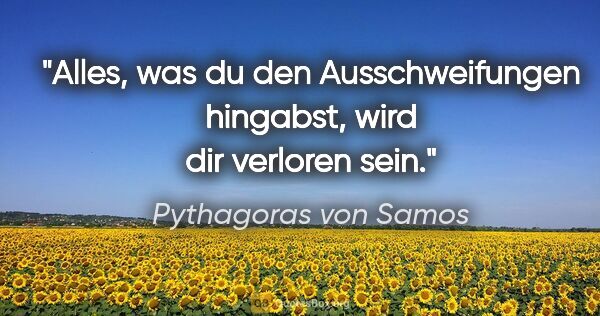 Pythagoras von Samos Zitat: "Alles, was du den Ausschweifungen hingabst,
wird dir verloren..."