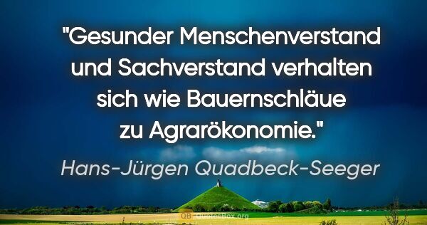 Hans-Jürgen Quadbeck-Seeger Zitat: "Gesunder Menschenverstand und Sachverstand verhalten sich wie..."