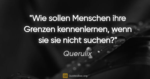 Querulix Zitat: "Wie sollen Menschen ihre Grenzen kennenlernen, wenn sie sie..."