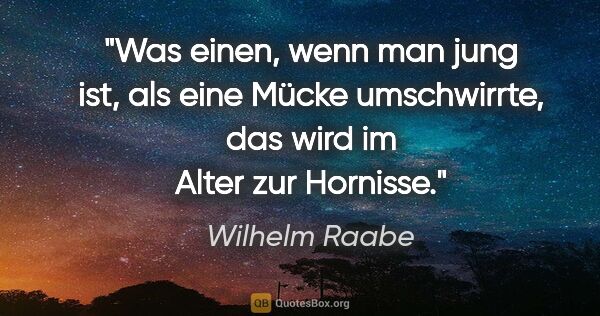 Wilhelm Raabe Zitat: "Was einen, wenn man jung ist, als eine Mücke umschwirrte, das..."