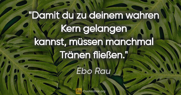 Ebo Rau Zitat: "Damit du zu deinem wahren Kern gelangen kannst,
müssen..."