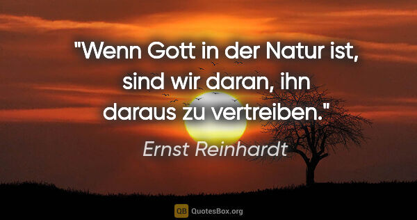 Ernst Reinhardt Zitat: "Wenn Gott in der Natur ist, sind wir daran, ihn daraus zu..."