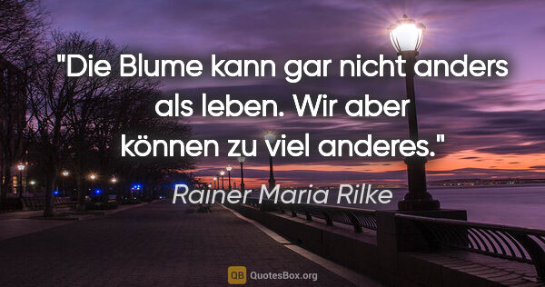 Rainer Maria Rilke Zitat: "Die Blume kann gar nicht anders als leben. Wir aber können zu..."