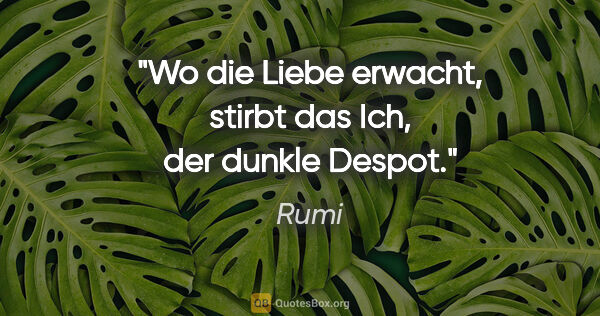 Rumi Zitat: "Wo die Liebe erwacht, stirbt das Ich, der dunkle Despot."
