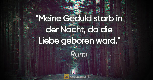 Rumi Zitat: "Meine Geduld starb in der Nacht,

da die Liebe geboren ward."