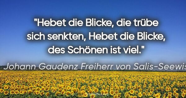 Johann Gaudenz Freiherr von Salis-Seewis Zitat: "Hebet die Blicke, die trübe sich senkten,
Hebet die Blicke,..."