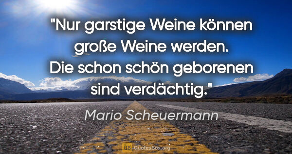 Mario Scheuermann Zitat: "Nur garstige Weine können große Weine werden. Die schon schön..."