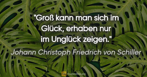 Johann Christoph Friedrich von Schiller Zitat: "Groß kann man sich im Glück,

erhaben nur im Unglück zeigen."