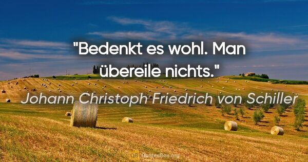 Johann Christoph Friedrich von Schiller Zitat: "Bedenkt es wohl.
Man übereile nichts."