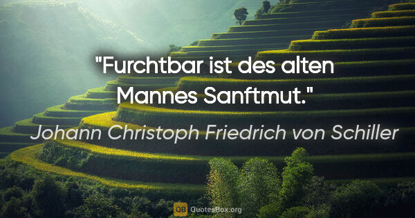 Johann Christoph Friedrich von Schiller Zitat: "Furchtbar ist des alten Mannes Sanftmut."