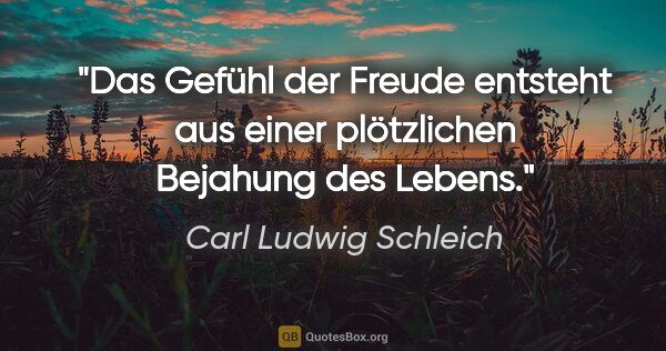 Carl Ludwig Schleich Zitat: "Das Gefühl der Freude entsteht aus einer plötzlichen Bejahung..."