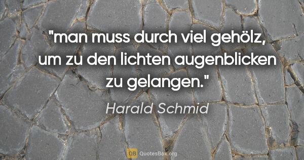 Harald Schmid Zitat: "man muss durch viel gehölz, um zu den
lichten augenblicken zu..."