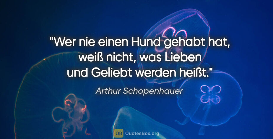 Arthur Schopenhauer Zitat: "Wer nie einen Hund gehabt hat, weiß nicht, was Lieben und..."