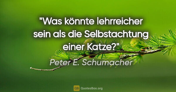 Peter E. Schumacher Zitat: "Was könnte lehrreicher sein als die Selbstachtung einer Katze?"