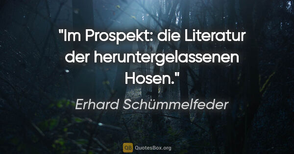 Erhard Schümmelfeder Zitat: "Im Prospekt: die Literatur der heruntergelassenen Hosen."