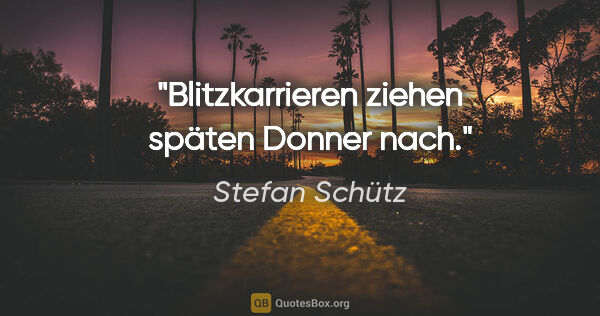 Stefan Schütz Zitat: "Blitzkarrieren ziehen späten Donner nach."