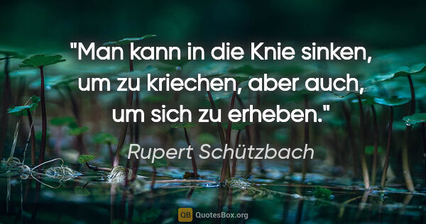 Rupert Schützbach Zitat: "Man kann in die Knie sinken, um zu kriechen, aber auch, um..."