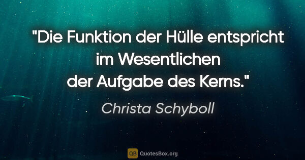 Christa Schyboll Zitat: "Die Funktion der Hülle entspricht im Wesentlichen der Aufgabe..."