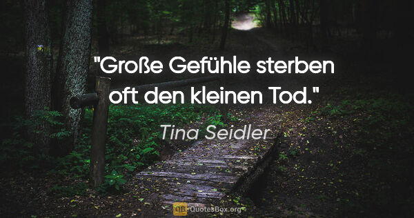 Tina Seidler Zitat: "Große Gefühle sterben oft den kleinen Tod."