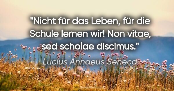 Lucius Annaeus Seneca Zitat: "Nicht für das Leben, für die Schule lernen wir!
Non vitae, sed..."