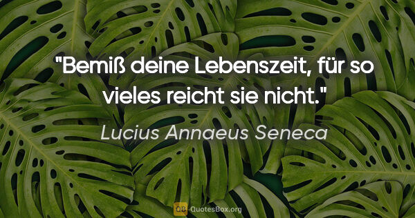 Lucius Annaeus Seneca Zitat: "Bemiß deine Lebenszeit, für so vieles reicht sie nicht."