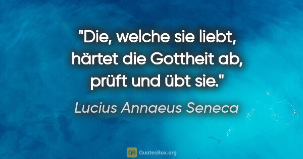 Lucius Annaeus Seneca Zitat: "Die, welche sie liebt, härtet die Gottheit ab, prüft und übt sie."