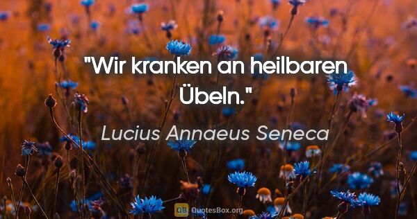 Lucius Annaeus Seneca Zitat: "Wir kranken an heilbaren Übeln."
