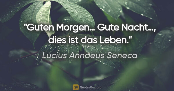 Lucius Annaeus Seneca Zitat: "Guten Morgen… Gute Nacht…, dies ist das Leben."