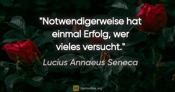 Lucius Annaeus Seneca Zitat: "Notwendigerweise hat einmal Erfolg, wer vieles versucht."