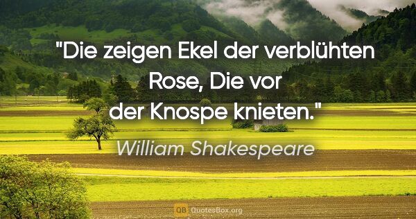 William Shakespeare Zitat: "Die zeigen Ekel der verblühten Rose,
Die vor der Knospe knieten."