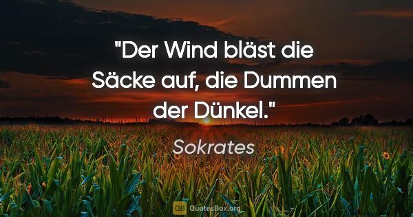 Sokrates Zitat: "Der Wind bläst die Säcke auf, die Dummen der Dünkel."