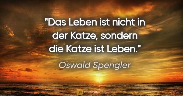 Oswald Spengler Zitat: "Das Leben ist nicht in der Katze,
sondern die Katze ist Leben."