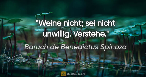 Baruch de Benedictus Spinoza Zitat: "Weine nicht; sei nicht unwillig. Verstehe."