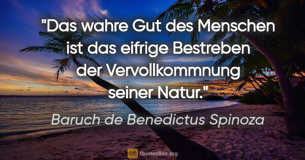 Baruch de Benedictus Spinoza Zitat: "Das wahre Gut des Menschen ist das eifrige Bestreben
der..."