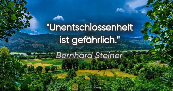 Bernhard Steiner Zitat: "Unentschlossenheit ist gefährlich."