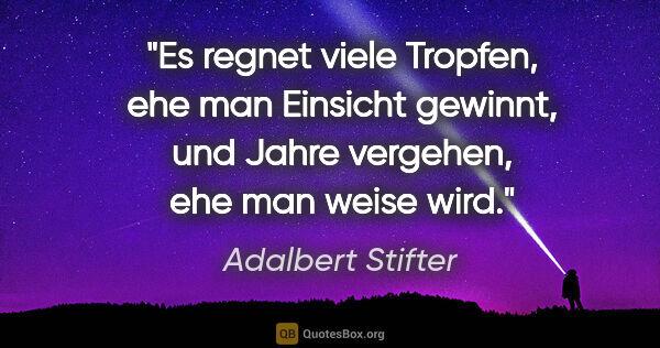Adalbert Stifter Zitat: "Es regnet viele Tropfen, ehe man Einsicht gewinnt, und Jahre..."