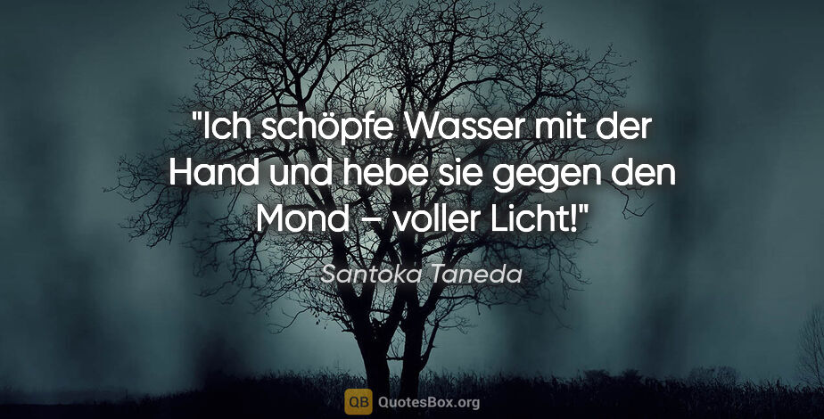 Santoka Taneda Zitat: "Ich schöpfe Wasser mit der Hand
und hebe sie gegen den Mond..."