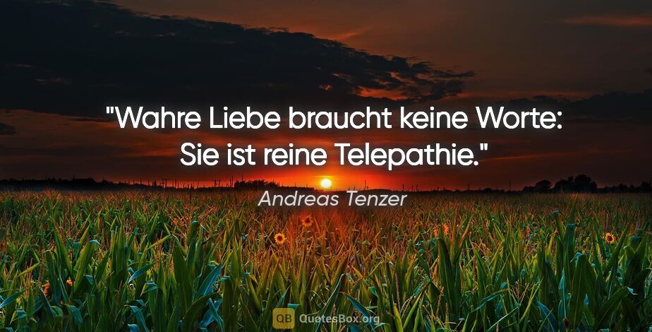 Andreas Tenzer Zitat: "Wahre Liebe braucht keine Worte: Sie ist reine Telepathie."