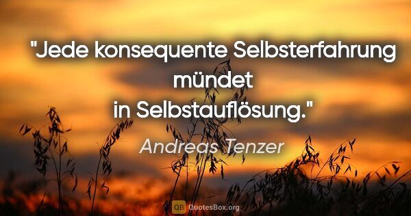 Andreas Tenzer Zitat: "Jede konsequente Selbsterfahrung mündet in Selbstauflösung."