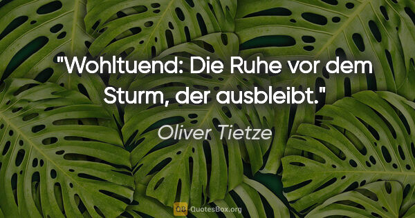 Oliver Tietze Zitat: "Wohltuend: Die Ruhe vor dem Sturm, der ausbleibt."