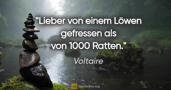 Voltaire Zitat: "Lieber von einem Löwen gefressen als von 1000 Ratten."